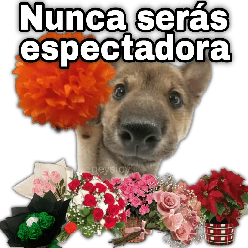 Ramo de maquillaje 💐 Ramos 💚