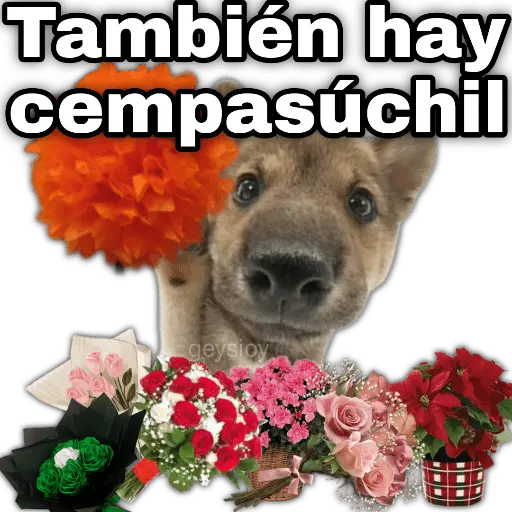 Ramo de maquillaje 💐 Ramos 💚