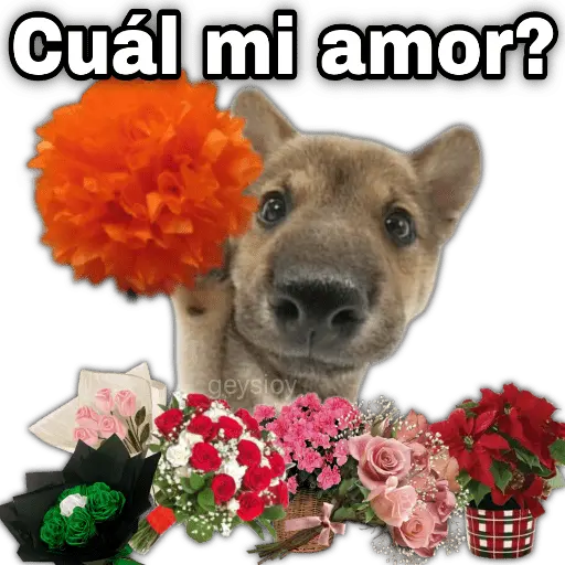 Ramo de maquillaje 💐 Ramos 💚