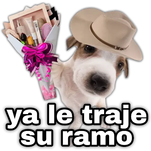 Ramo de maquillaje 💐 Ramos 💚