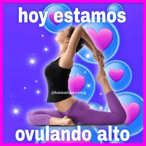 ✨Mis stikers✨