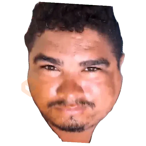 meu amor sticker 13