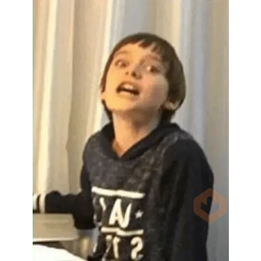 stranger things memes sticker 19