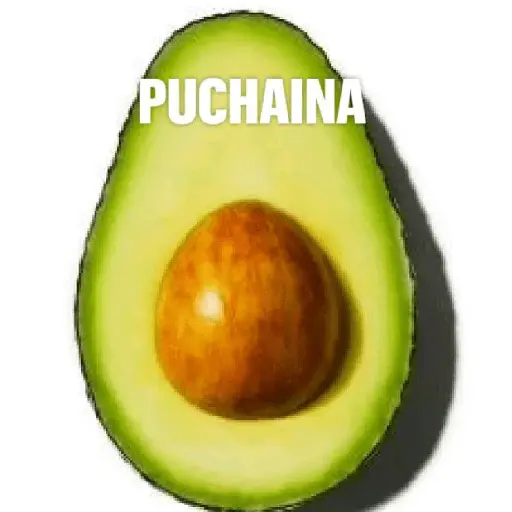 La puchaina 