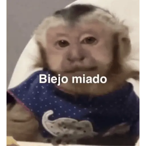 changuis y algo mas
