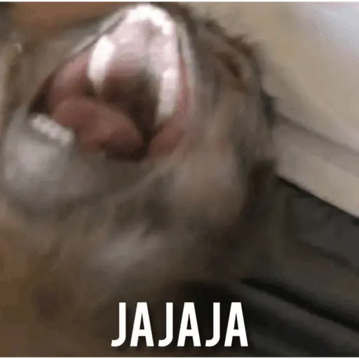 changuis y algo mas