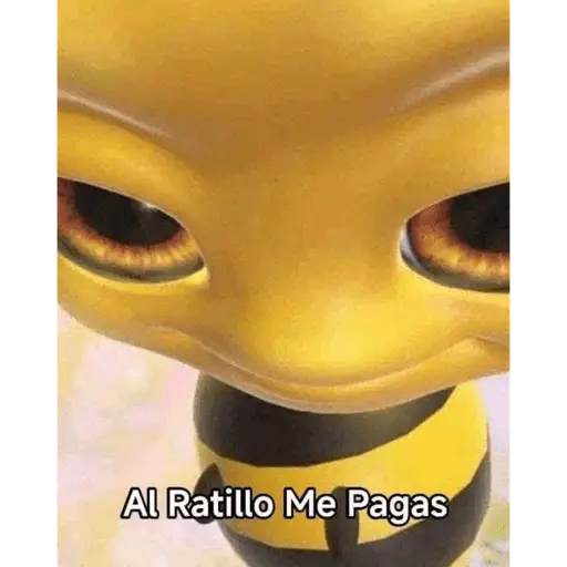 changuis y algo mas