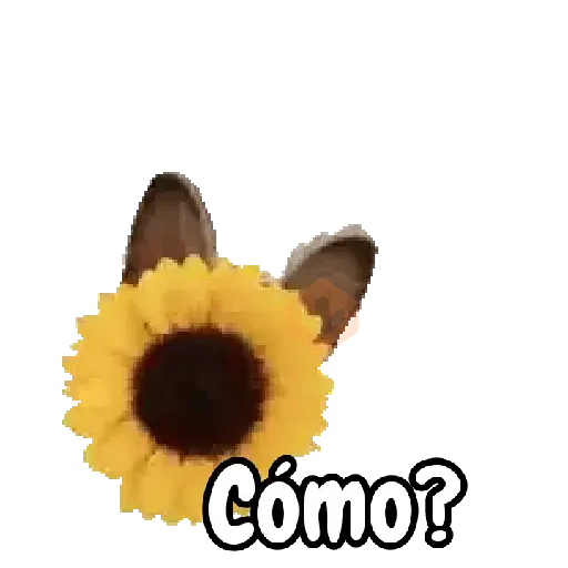 Flores de amor para ti 🌹😘 sticker 16