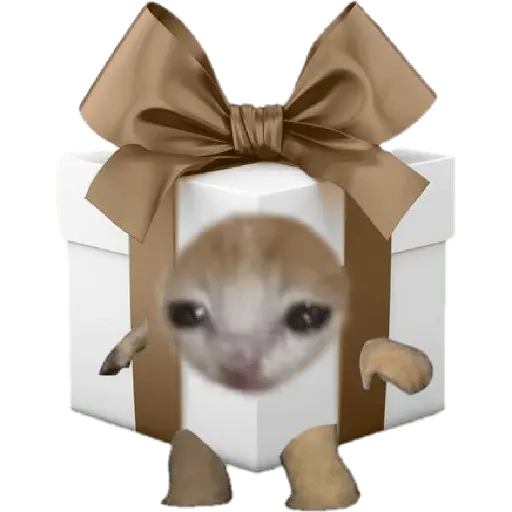 🎄♥️ Gato Modo Navidad ♥️🎄
