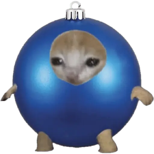🎄♥️ Gato Modo Navidad ♥️🎄