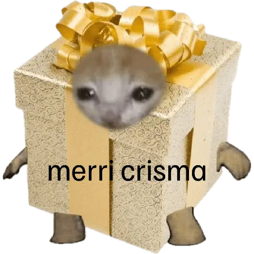 🎄♥️ Gato Modo Navidad ♥️🎄