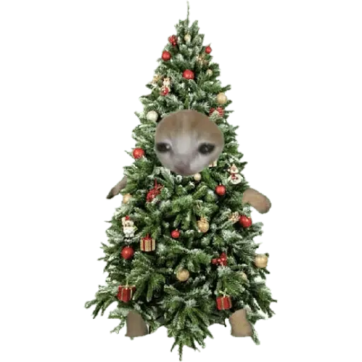 🎄♥️ Gato Modo Navidad ♥️🎄