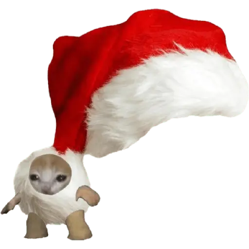 🎄♥️ Gato Modo Navidad ♥️🎄