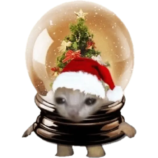 🎄♥️ Gato Modo Navidad ♥️🎄