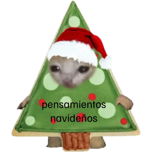 🎄♥️ Gato Modo Navidad ♥️🎄