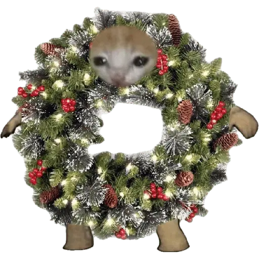 🎄♥️ Gato Modo Navidad ♥️🎄