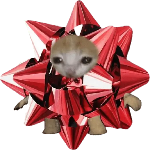 🎄♥️ Gato Modo Navidad ♥️🎄