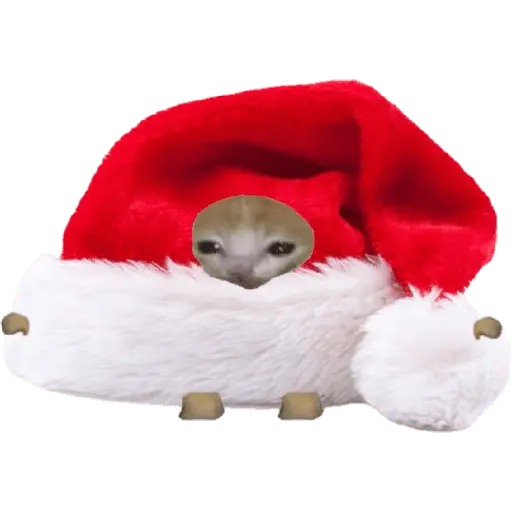 🎄♥️ Gato Modo Navidad ♥️🎄