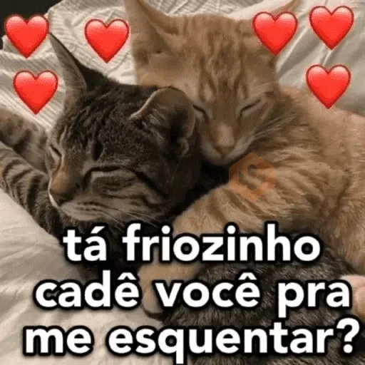 Amor pra sua vida...❤️ sticker 12