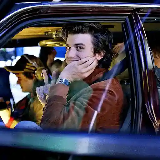 Stranger things 5 preview