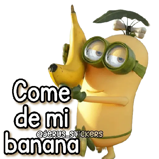 Papoi 🟡