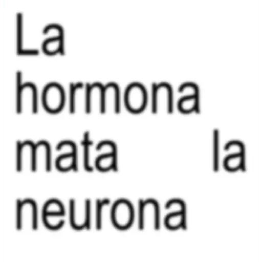frases pal chat vol.10 💬