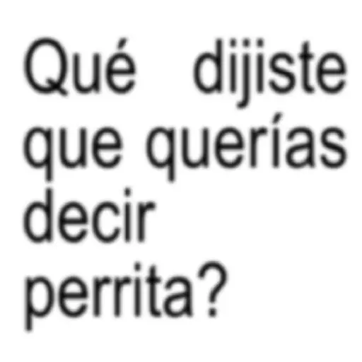frases pal chat vol.10 💬