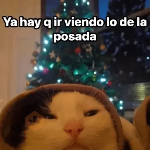 🎄🐱 Navidad Gatos 🐱 🎄 sticker 16