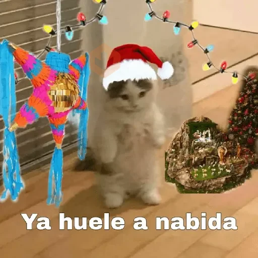 🎄🐱 Navidad Gatos 🐱 🎄 sticker 13