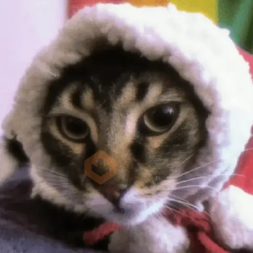 🎄🐱 Navidad Gatos 🐱 🎄 sticker 24