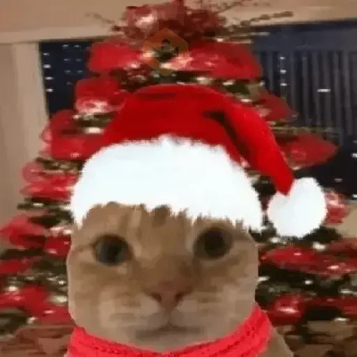 🎄🐱 Navidad Gatos 🐱 🎄 sticker 21
