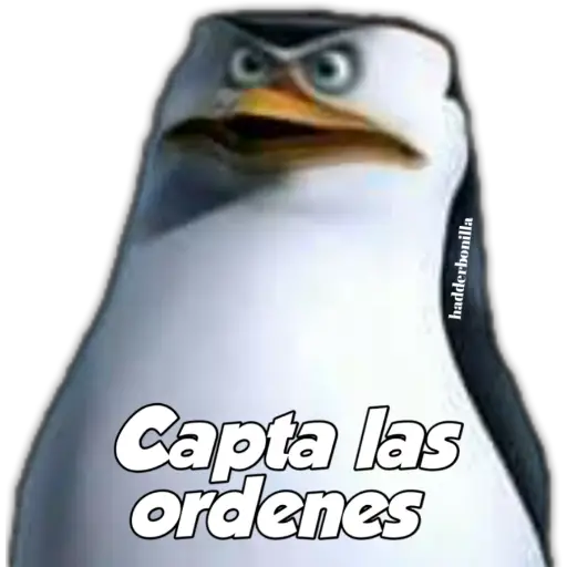 MADAGASCAR 3  preview