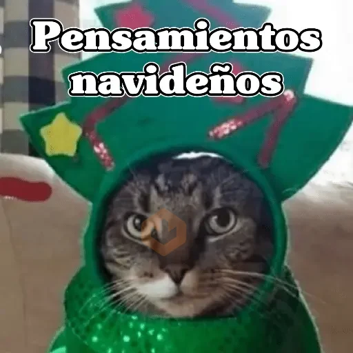 🧿Navidad Memes🎄✨🎁 sticker 15