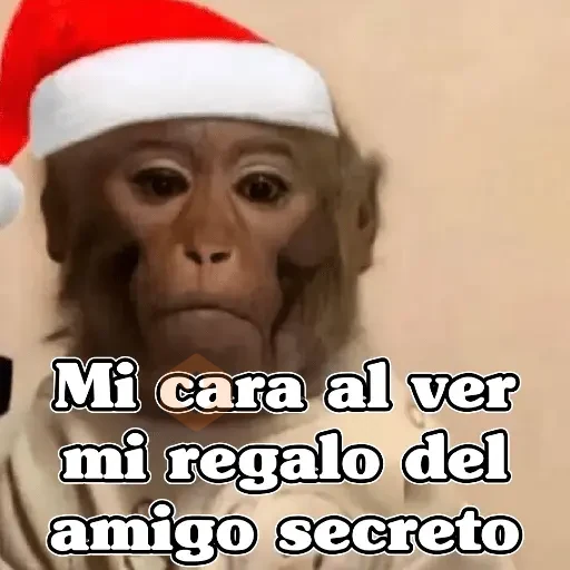 🧿Navidad Memes🎄✨🎁 sticker 23