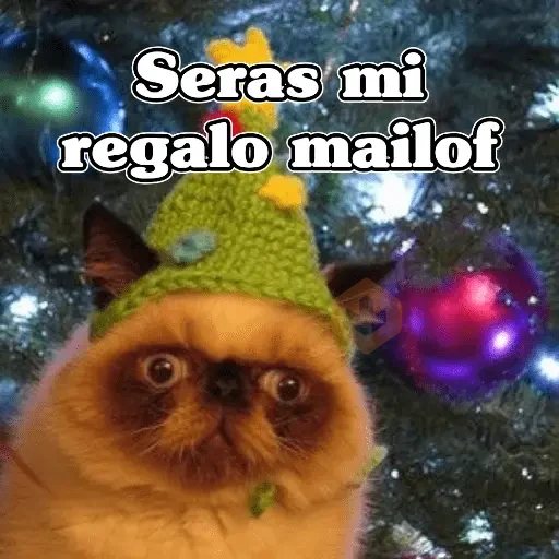 🧿Navidad Memes🎄✨🎁 sticker 21