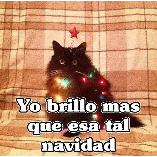 🧿Navidad Memes🎄✨🎁 sticker 20