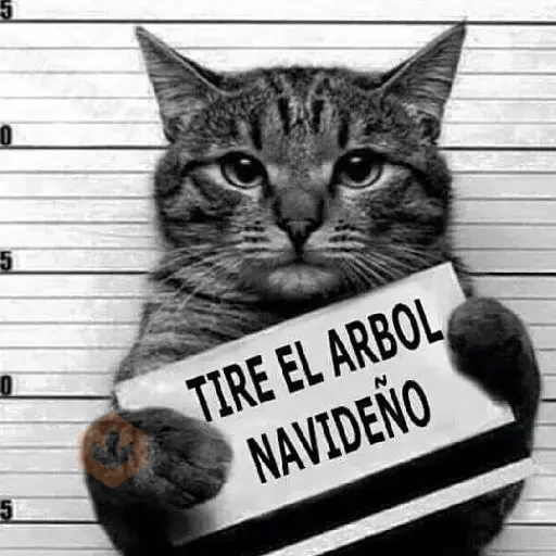 🧿Navidad Memes🎄✨🎁 sticker 24