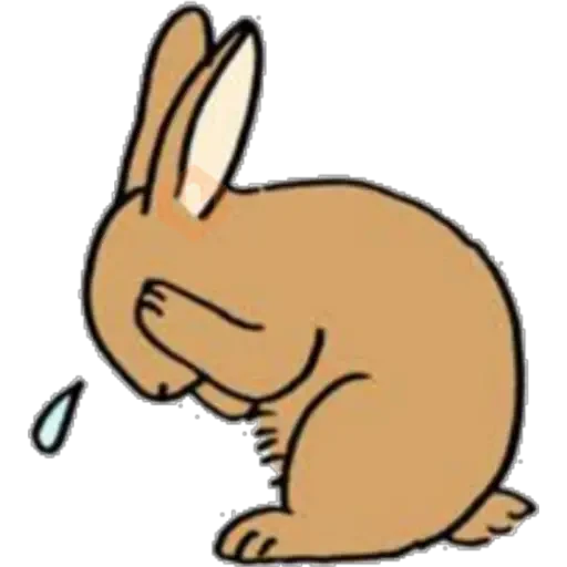 Conejitos 🐰 sticker 21