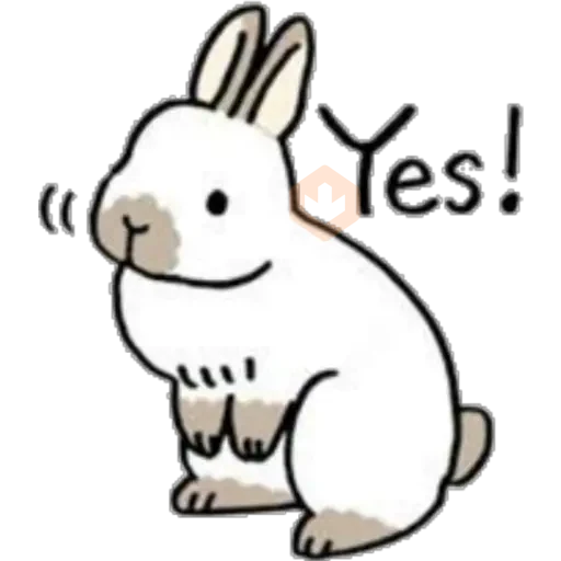 Conejitos 🐰 sticker 20