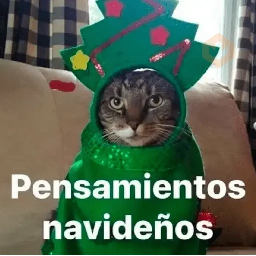 Memes Navidad-DinDinDon🗣️🎄🎁✨ sticker 12