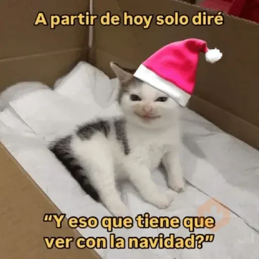Memes Navidad-DinDinDon🗣️🎄🎁✨ sticker 11