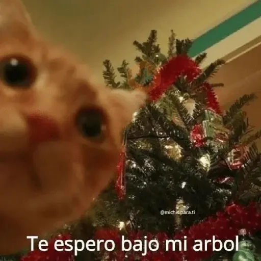 Memes Navidad-DinDinDon🗣️🎄🎁✨ sticker 14