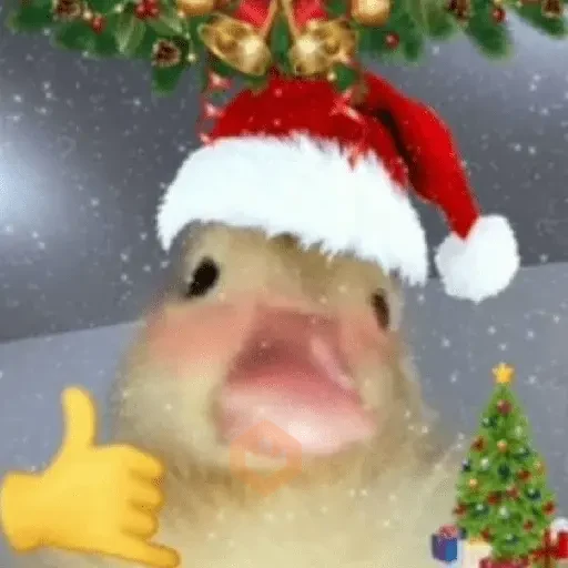 Memes Navidad-DinDinDon🗣️🎄🎁✨ sticker 17