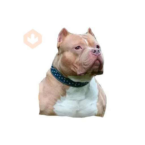 Lomitos (Perritos) de Internet sticker 18
