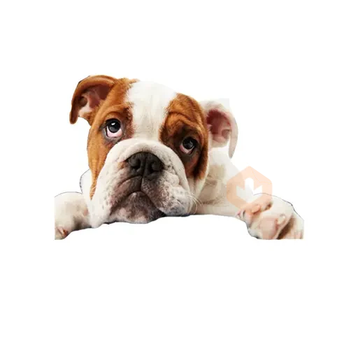 Lomitos (Perritos) de Internet sticker 12