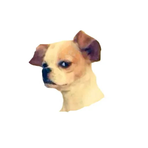 Lomitos (Perritos) de Internet sticker 17