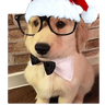 Navidad uwu