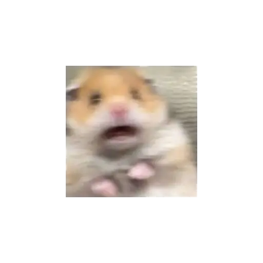 Klausuwu