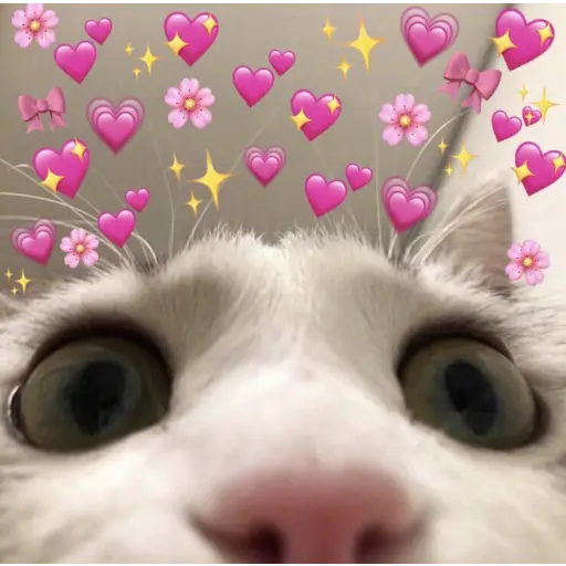 Klausuwu