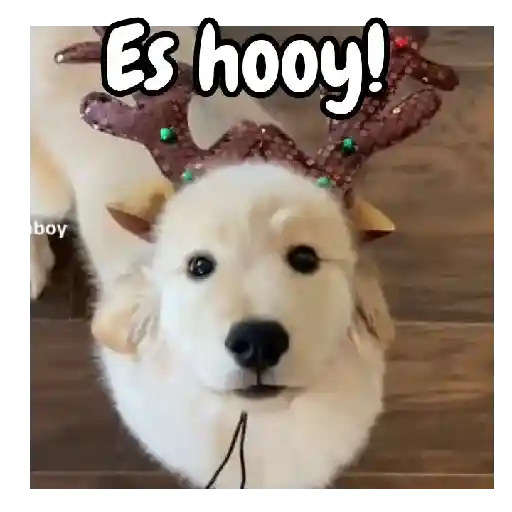 Navidad de perritos 🎅🐕 preview